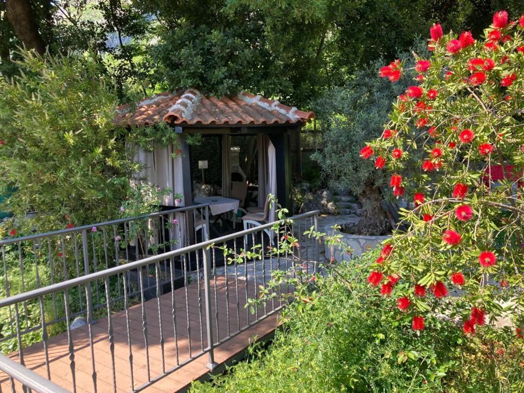 Apartments Villa Eden Kotor Exterior foto